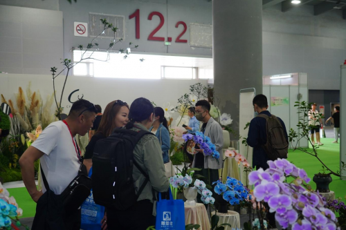 2024花城“新秀花事”亮點搶先看！和廣州國際花藝節一起解鎖“花經濟”財富密碼(圖4)